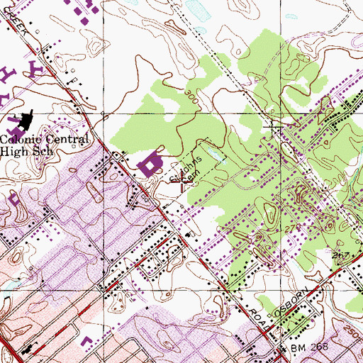 Topographic Map of Saint Johns Lutheran Cemetery, NY