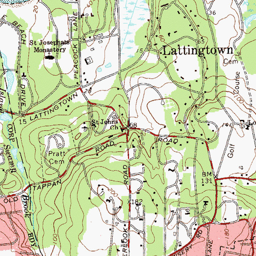 Topographic Map of Saint Johns Church, NY