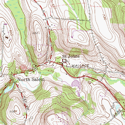 Topographic Map of Saint Johns Church, NY
