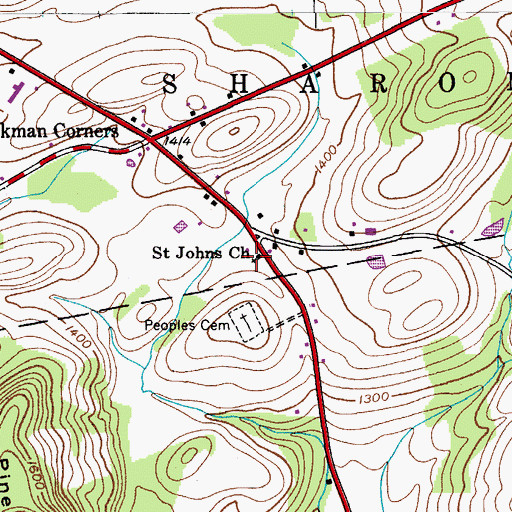 Topographic Map of Saint Johns Church, NY
