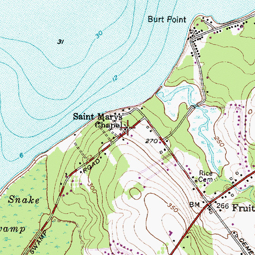 Topographic Map of Saint Marys Chapel, NY