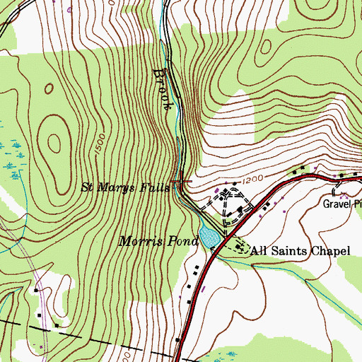 Topographic Map of Saint Marys Falls, NY