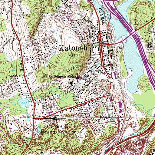 Topographic Map of Saint Marys School, NY