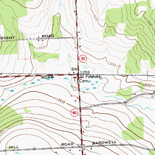 Topographic Map of Saint Patricks Cemetery, NY
