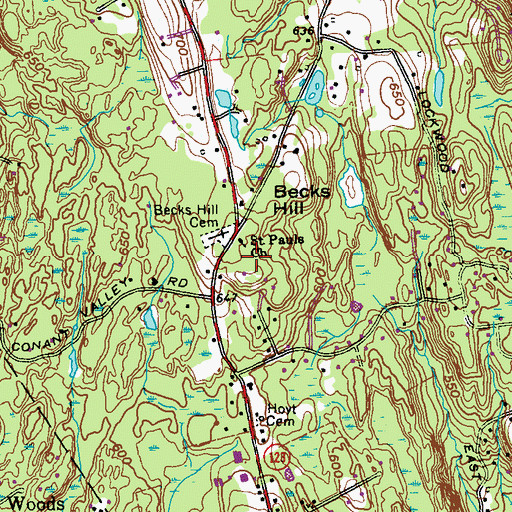 Topographic Map of Saint Pauls Church, NY