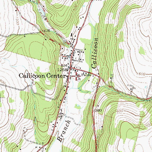 Topographic Map of Saint Pauls Church, NY