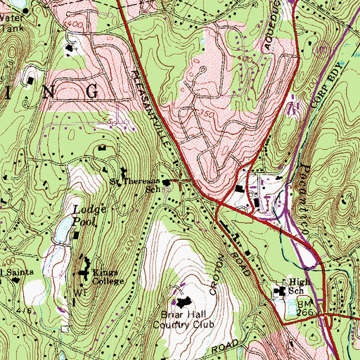 Topographic Map of Saint Theresa's School, NY