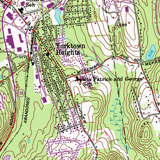 Topographic Map of Saints Patrick and George School, NY