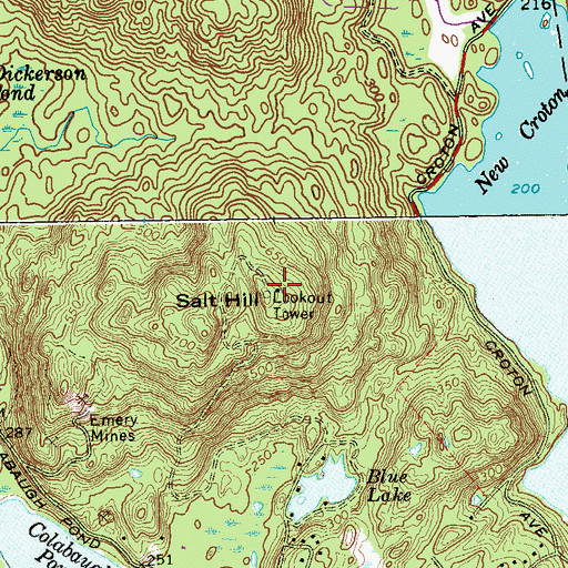 Topographic Map of Salt Hill, NY
