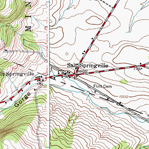 Topographic Map of Salt Springville, NY