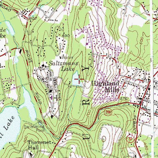 Topographic Map of Saltzmans Lake, NY