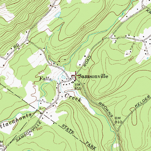 Topographic Map of Samsonville, NY