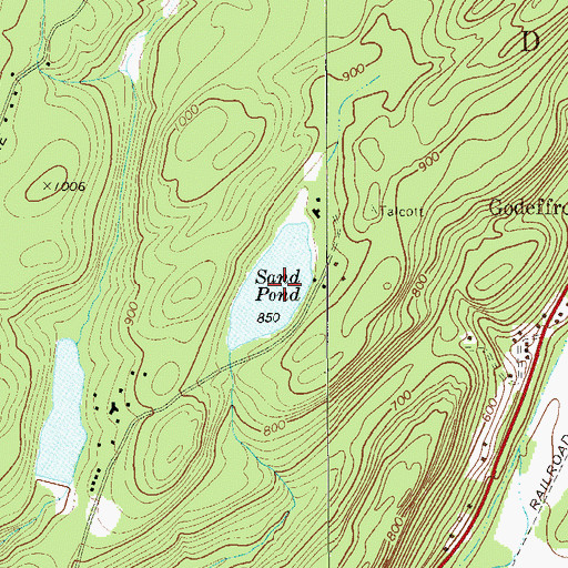 Topographic Map of Sand Pond, NY