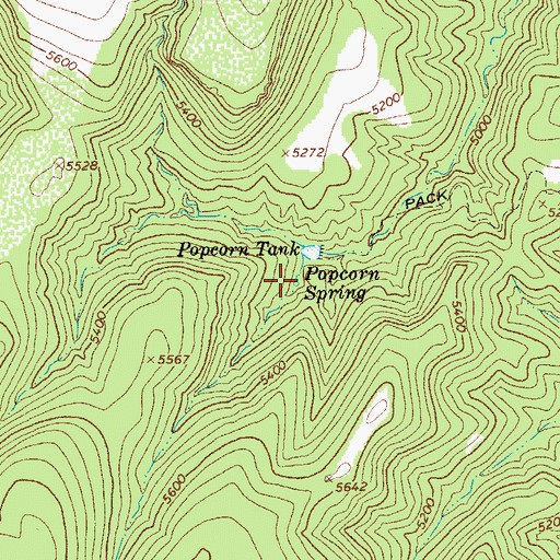 Topographic Map of Popcorn Spring, AZ