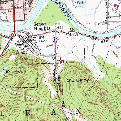 Topographic Map of Savage Hollow, NY