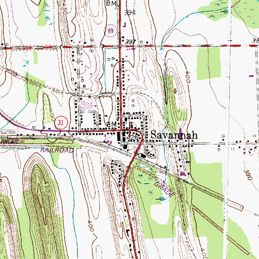 Topographic Map of Savannah, NY