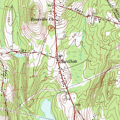 Topographic Map of Savilton, NY