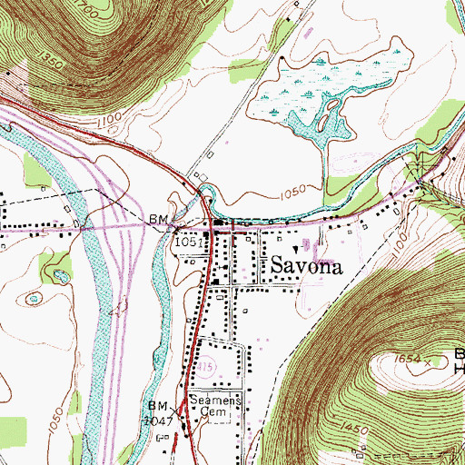 Topographic Map of Savona, NY