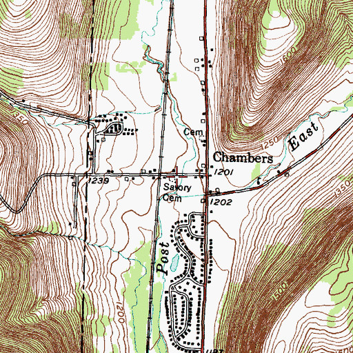 Topographic Map of Savory Cemetery, NY