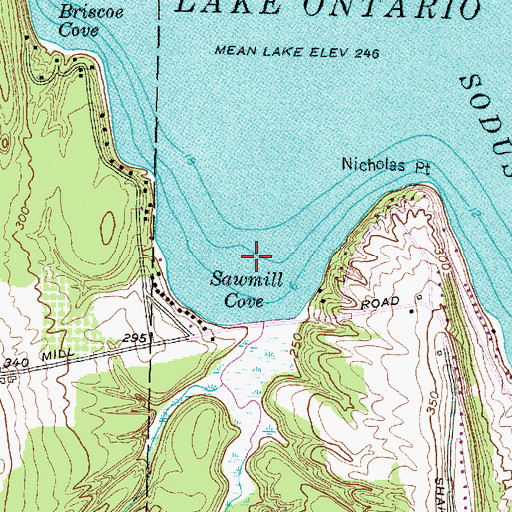 Topographic Map of Sawmill Cove, NY