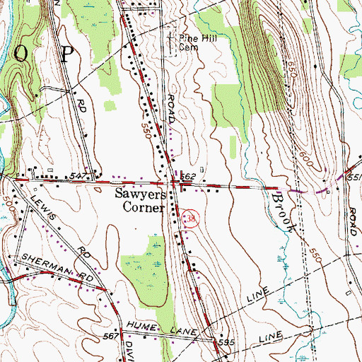 Topographic Map of Sawyers Corner, NY