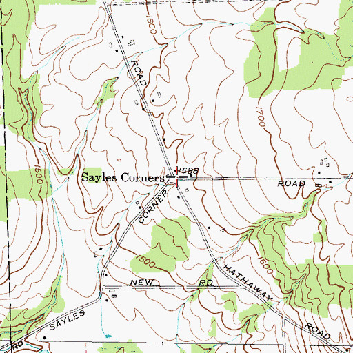 Topographic Map of Sayles Corners, NY