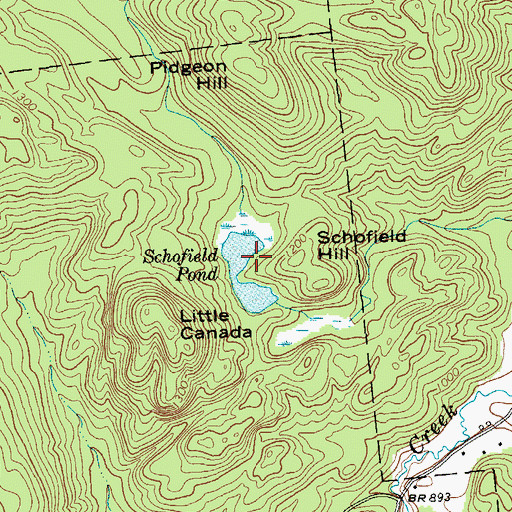 Topographic Map of Schofield Pond, NY