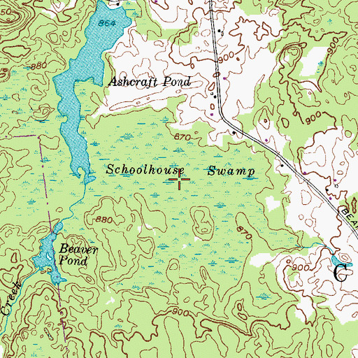 Topographic Map of Schoolhouse Swamp, NY