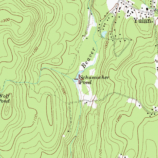Topographic Map of Schumacher Pond, NY