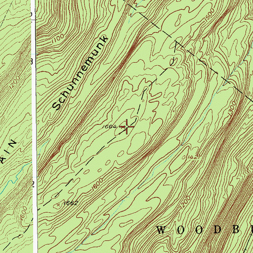 Topographic Map of Schunnemunk Mountain, NY