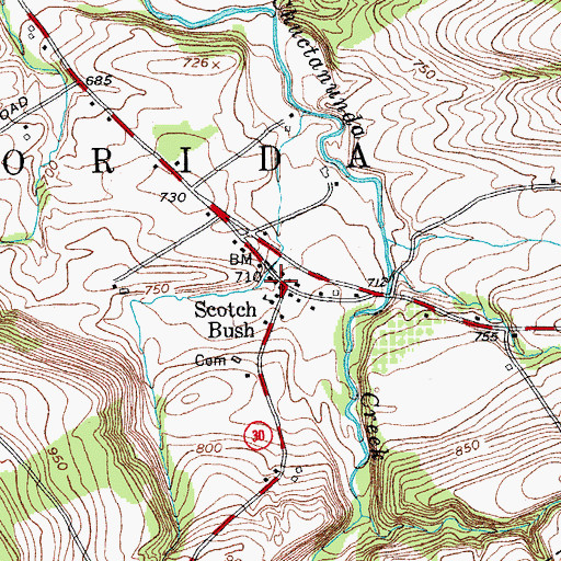 Topographic Map of Scotch Bush, NY