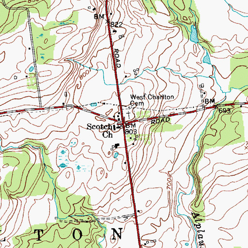 Topographic Map of Scotch Church, NY