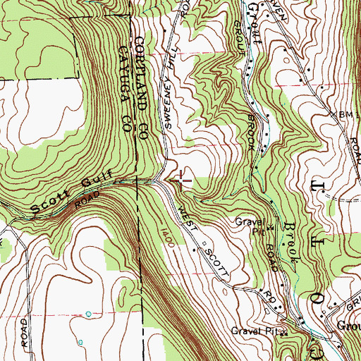 Topographic Map of Scott Gulf, NY