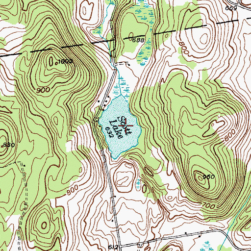Topographic Map of Scott Lake, NY