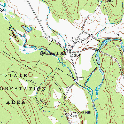 Topographic Map of Searles Brook, NY