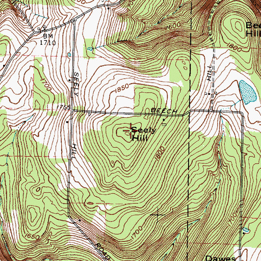 Topographic Map of Seely Hill, NY