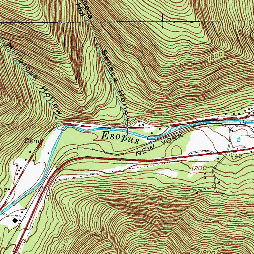 Topographic Map of Seneca Hollow, NY