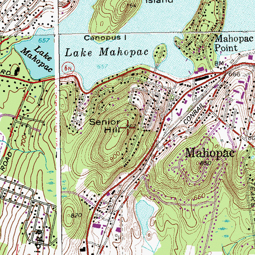 Topographic Map of Senior Hill, NY