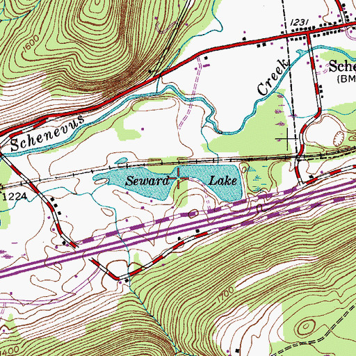 Topographic Map of Seward Lake, NY