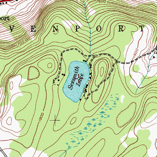 Topographic Map of Sexsmith Lake, NY