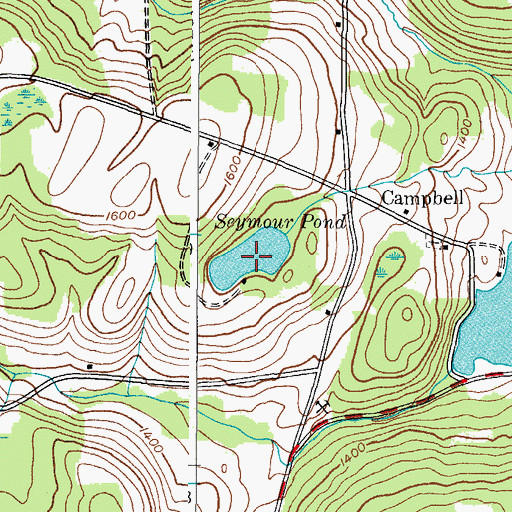 Topographic Map of Seymour Pond, NY