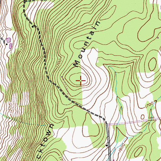 Topographic Map of Shacktown Mountain, NY