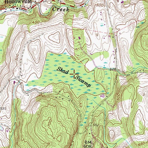 Topographic Map of Shad Swamp, NY