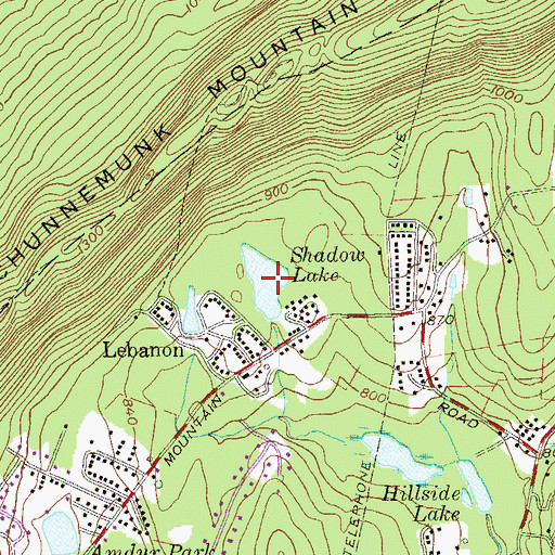 Topographic Map of Shadow Lake, NY