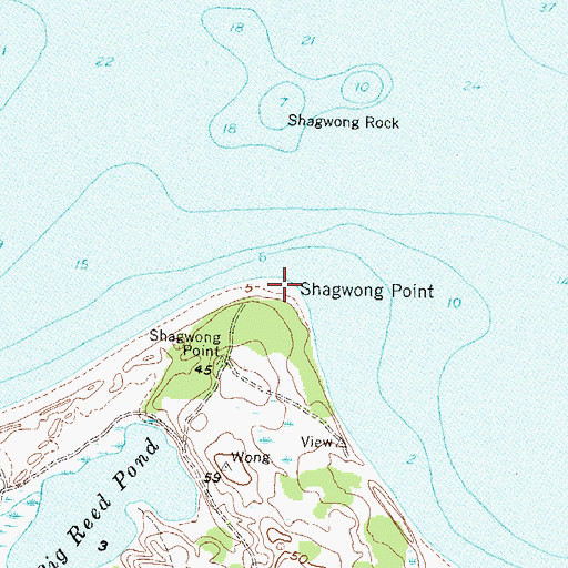 Topographic Map of Shagwong Point, NY