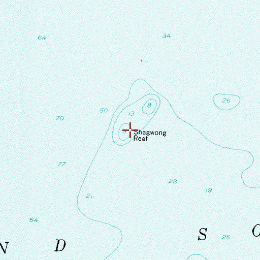 Topographic Map of Shagwong Reef, NY