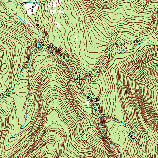 Topographic Map of Shandaken Brook, NY