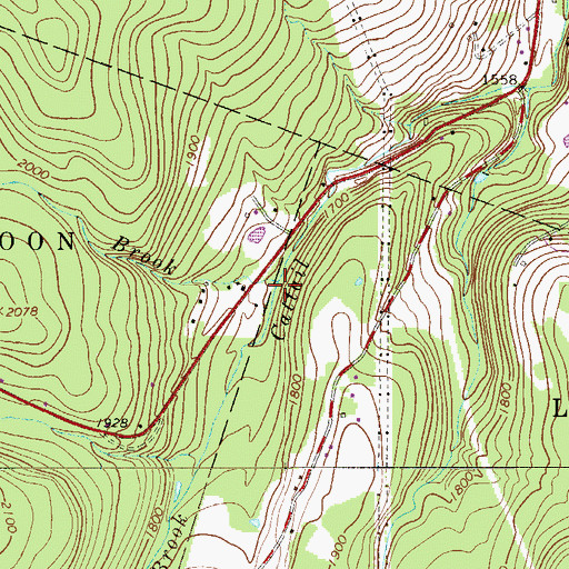 Topographic Map of Shandelee Brook, NY
