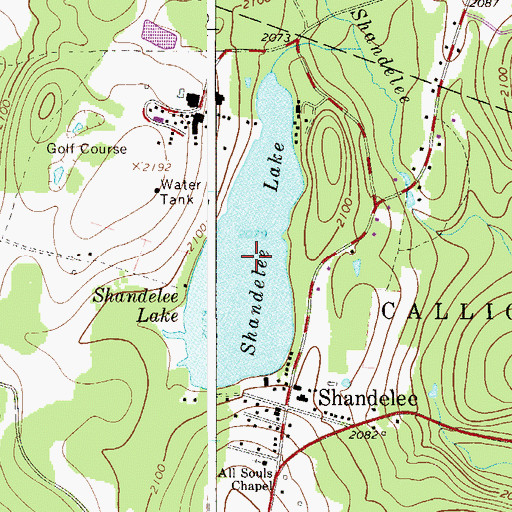 Topographic Map of Shandelee Lake, NY
