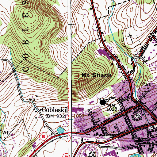 Topographic Map of Mount Shank, NY